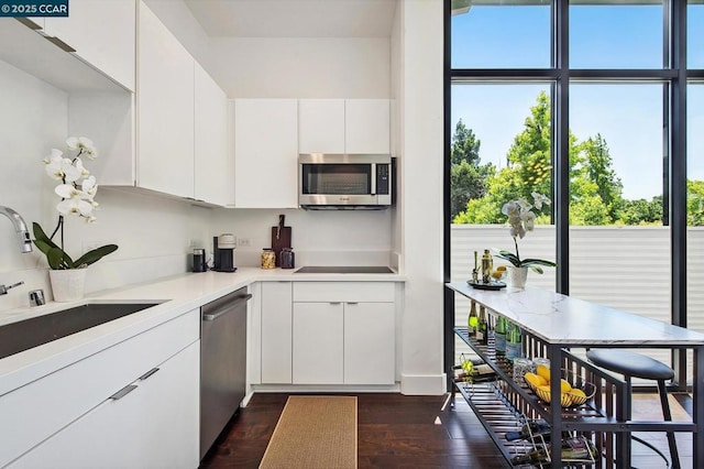 kitchen with white cabinets, appliances with stainless steel finishes, dark hardwood / wood-style flooring, and sink