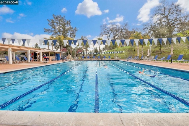 view of swimming pool featuring a patio