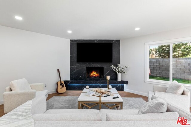 living room featuring wood-type flooring and a premium fireplace