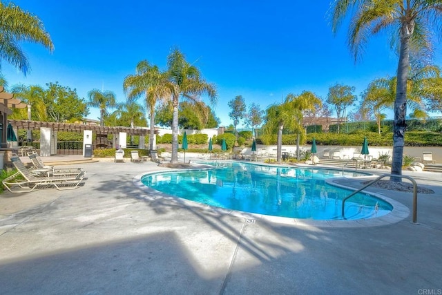 view of pool with a patio