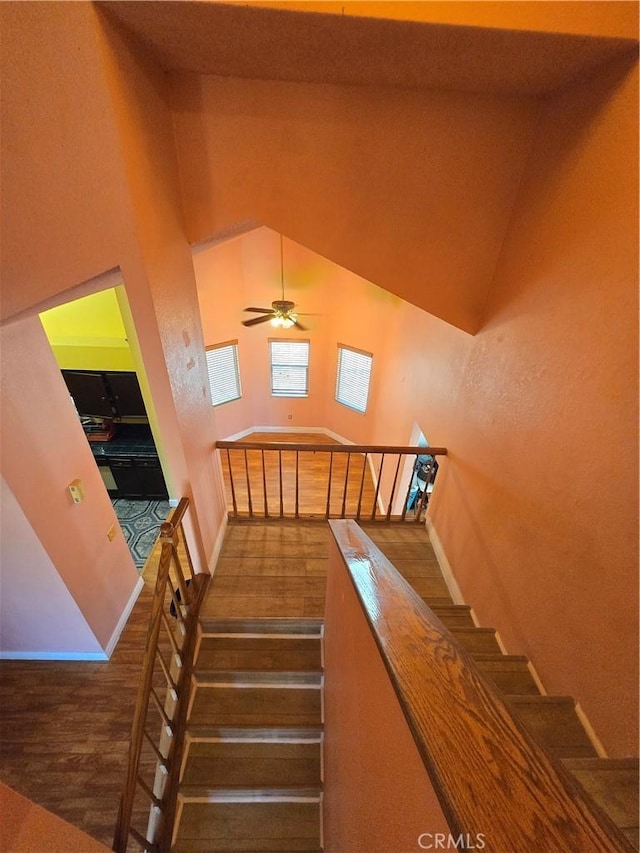 stairway featuring ceiling fan and hardwood / wood-style floors