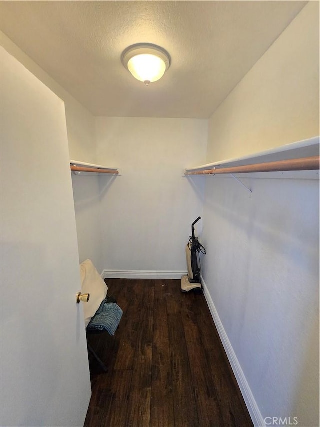 spacious closet with dark wood-type flooring