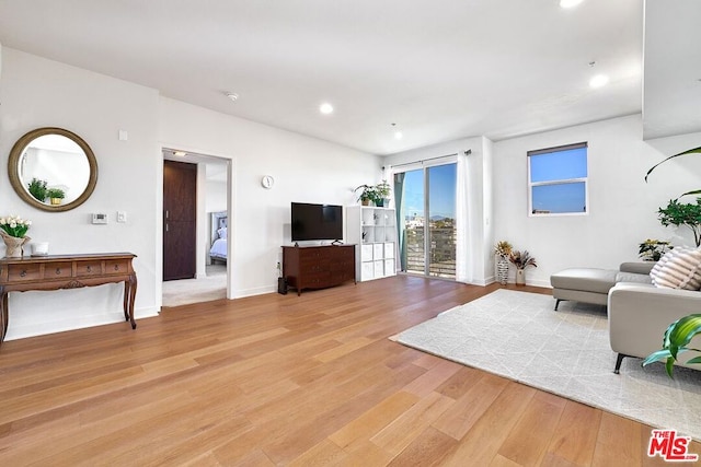 living room with hardwood / wood-style flooring