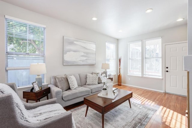 living room with plenty of natural light and hardwood / wood-style floors