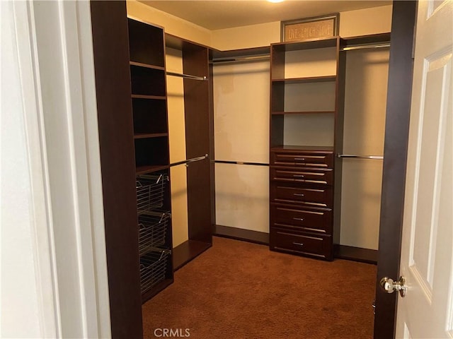 spacious closet featuring dark colored carpet