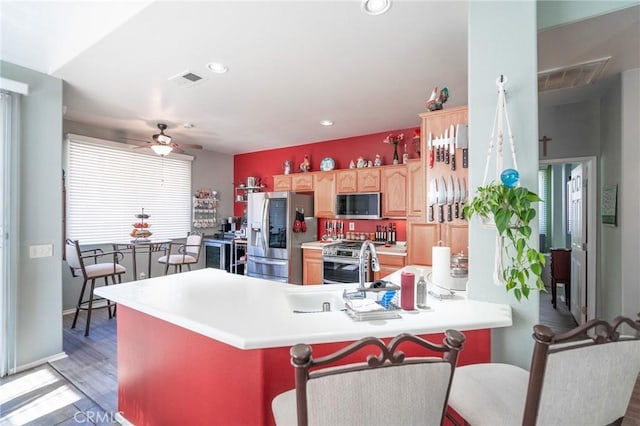 kitchen with sink, ceiling fan, appliances with stainless steel finishes, dark hardwood / wood-style floors, and kitchen peninsula