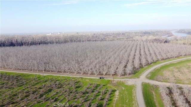 7071 River Rd, Colusa, CA 95932