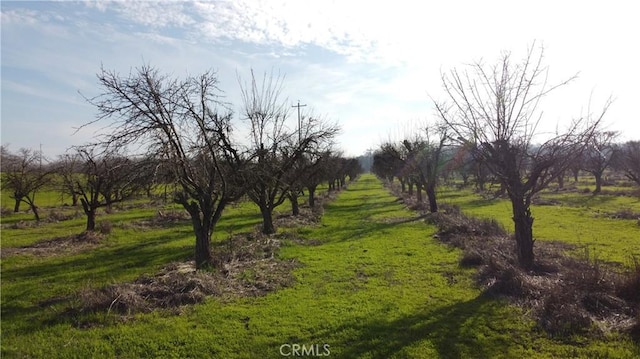 7071 River Rd, Colusa, CA 95932
