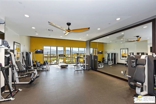 exercise room featuring ceiling fan