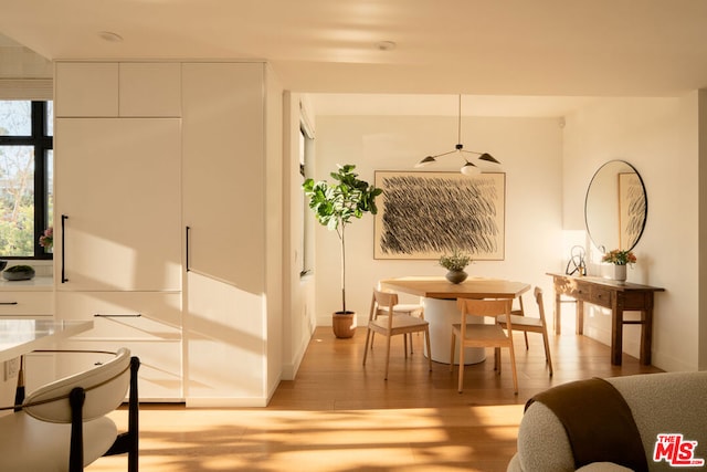 interior space featuring light hardwood / wood-style flooring