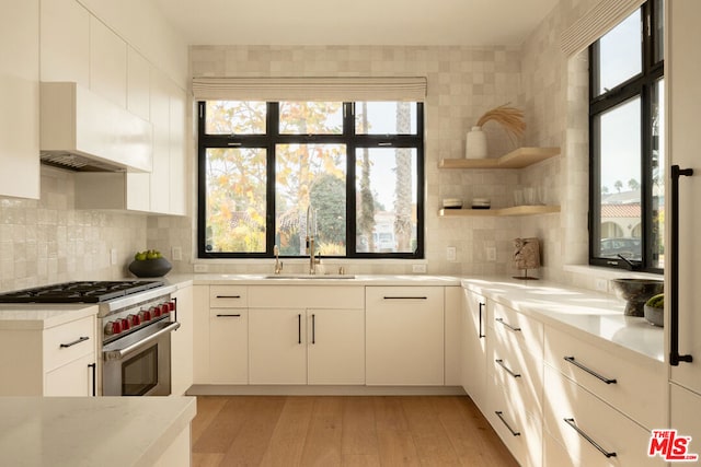 kitchen with high end stainless steel range oven, light hardwood / wood-style floors, white cabinetry, and decorative backsplash