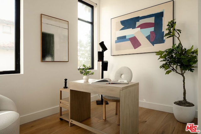 office featuring wood-type flooring