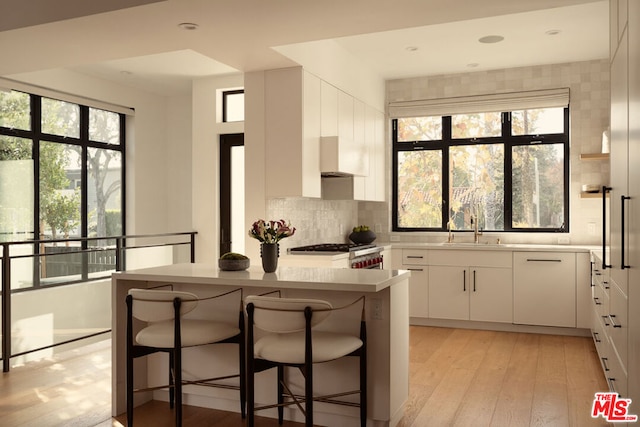 kitchen with white cabinets, range, tasteful backsplash, sink, and a kitchen breakfast bar