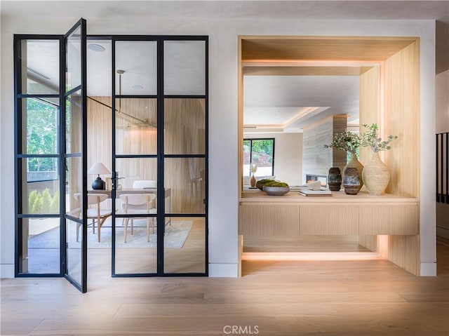 entryway featuring light hardwood / wood-style floors and a tray ceiling