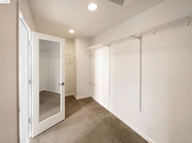 walk in closet with carpet flooring