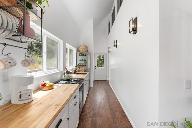 interior space featuring high vaulted ceiling, sink, dark hardwood / wood-style flooring, and a healthy amount of sunlight