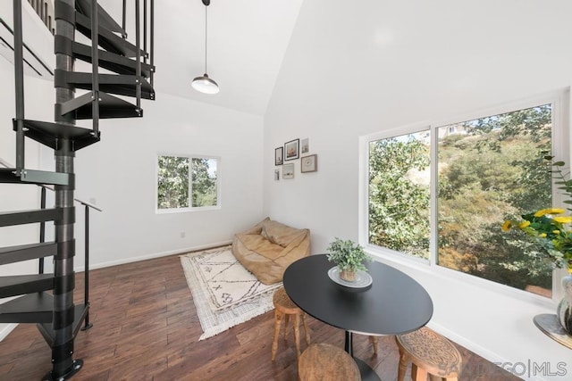 interior space featuring high vaulted ceiling, dark wood-type flooring, and plenty of natural light