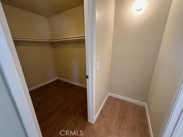 walk in closet featuring hardwood / wood-style flooring