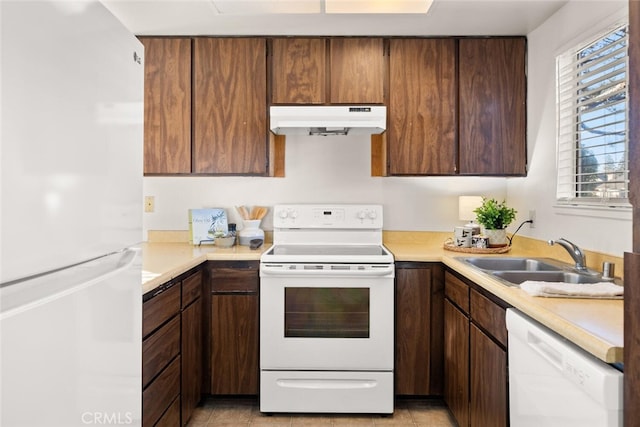 kitchen with a wealth of natural light, sink, and white appliances