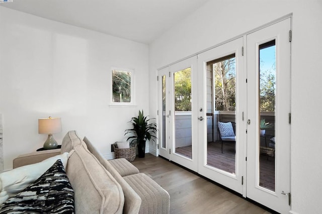 doorway featuring light wood-type flooring and french doors