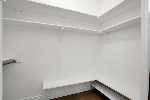 spacious closet with dark hardwood / wood-style floors