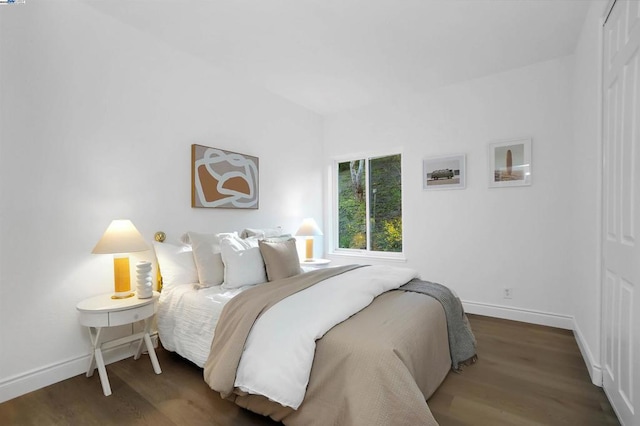 bedroom featuring dark wood-type flooring