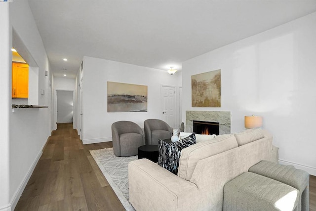 living room with a premium fireplace and hardwood / wood-style floors