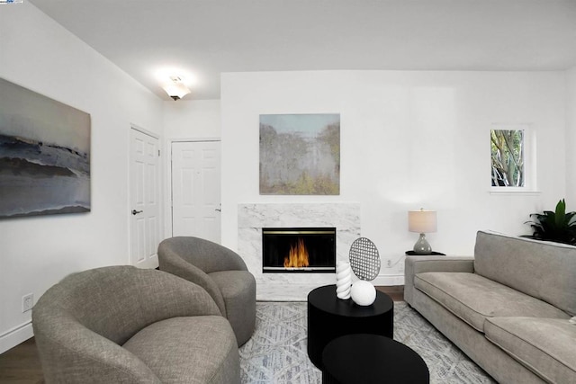 living room featuring hardwood / wood-style floors and a fireplace