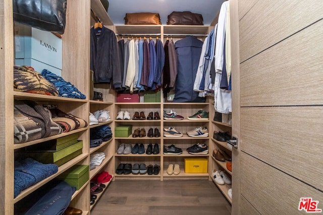 spacious closet featuring hardwood / wood-style floors