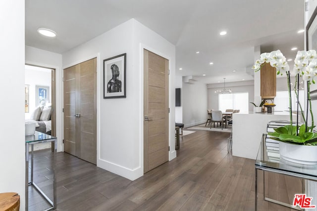 corridor featuring dark hardwood / wood-style floors