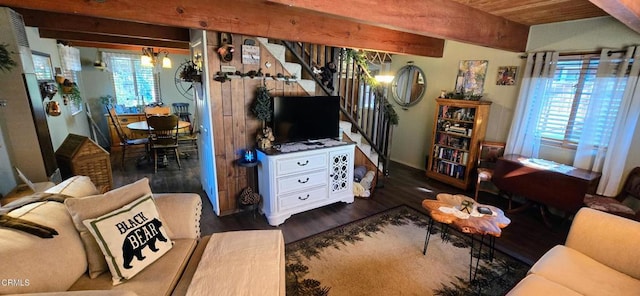 living room featuring dark hardwood / wood-style flooring, an inviting chandelier, and beamed ceiling