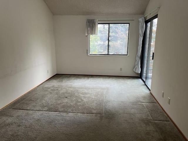 spare room with a textured ceiling, vaulted ceiling, a healthy amount of sunlight, and carpet flooring