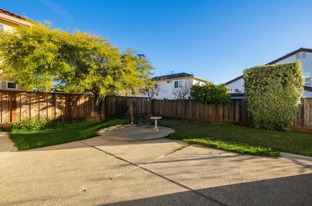 view of yard featuring a patio area