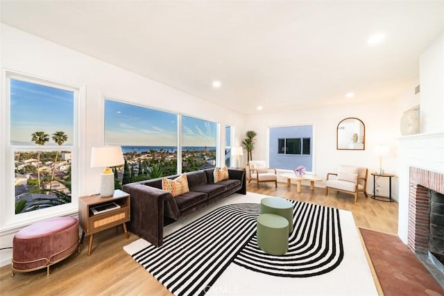 living room featuring a healthy amount of sunlight, a fireplace, and light hardwood / wood-style flooring