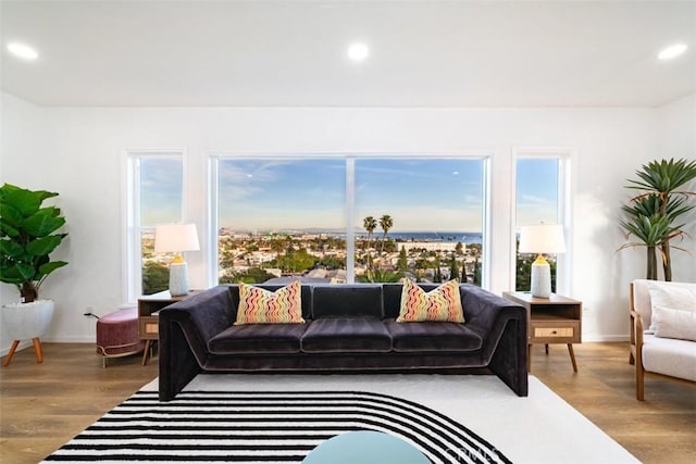 living room with plenty of natural light and hardwood / wood-style flooring