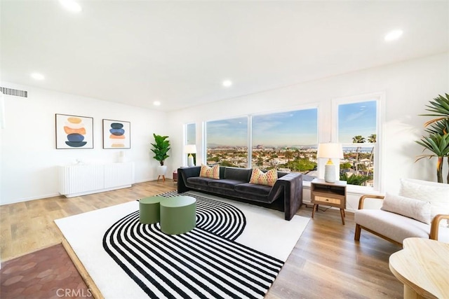 living room featuring radiator and light hardwood / wood-style flooring