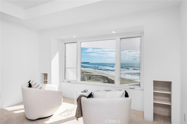 living area featuring light colored carpet