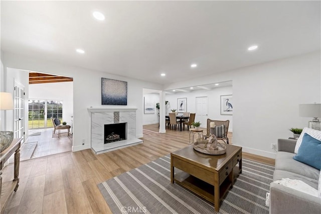 living room featuring light wood-type flooring and a fireplace