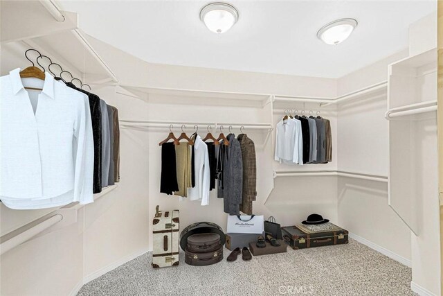 walk in closet with carpet