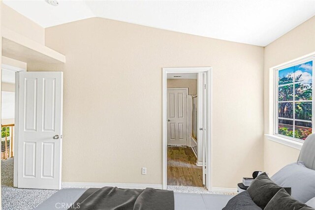 bedroom with lofted ceiling