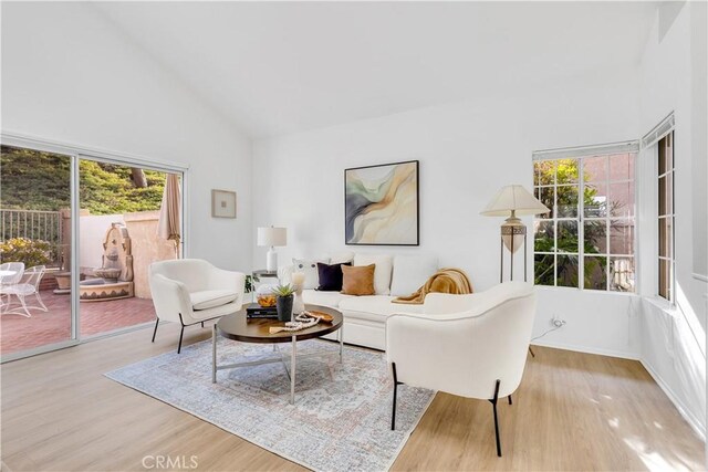 living room featuring high vaulted ceiling and light hardwood / wood-style flooring