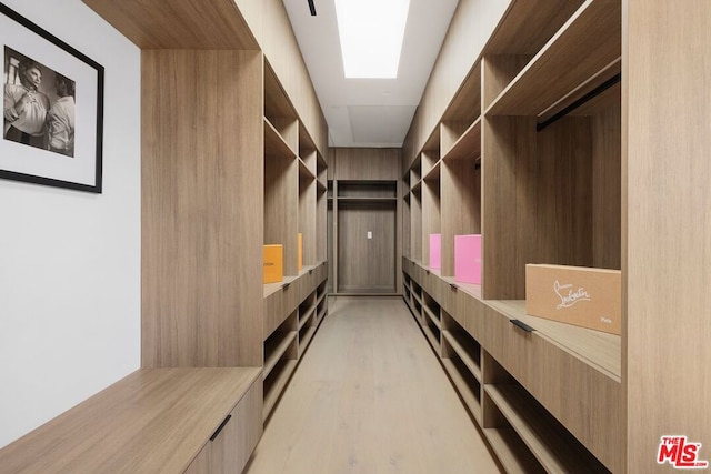 spacious closet with light wood-type flooring