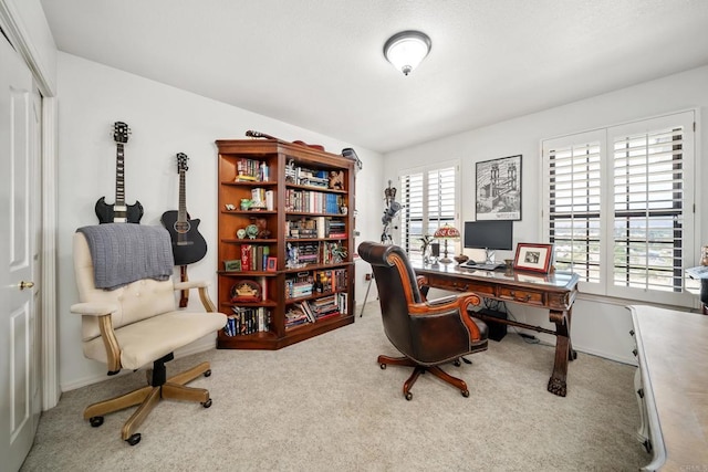 home office featuring carpet floors and a wealth of natural light