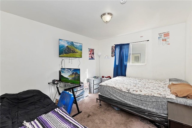 bedroom featuring carpet