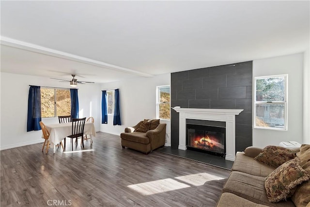 living room with ceiling fan, wood-type flooring, a fireplace, and plenty of natural light