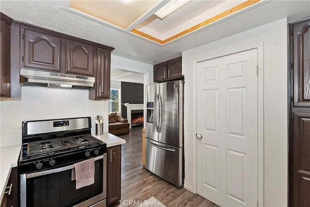 kitchen with appliances with stainless steel finishes, dark brown cabinets, and light hardwood / wood-style flooring