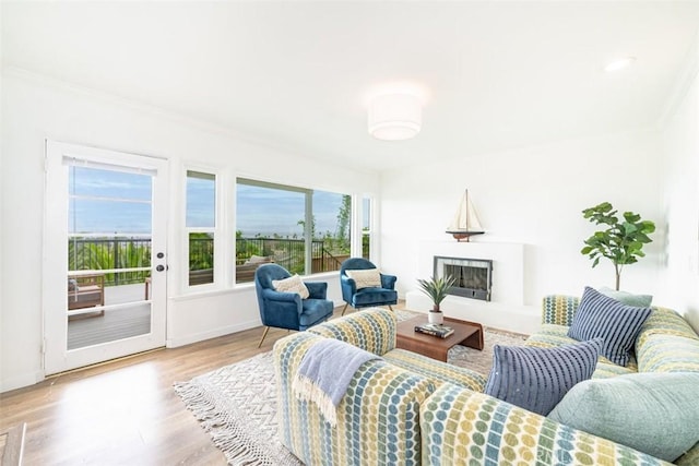 living room with crown molding and light hardwood / wood-style floors