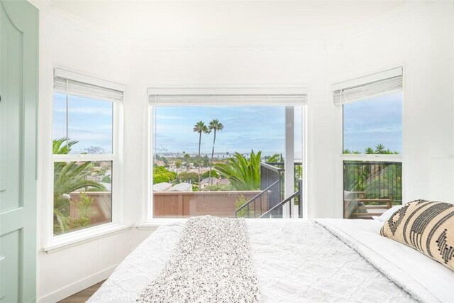 bedroom featuring multiple windows