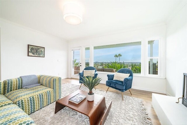 living room featuring light hardwood / wood-style floors