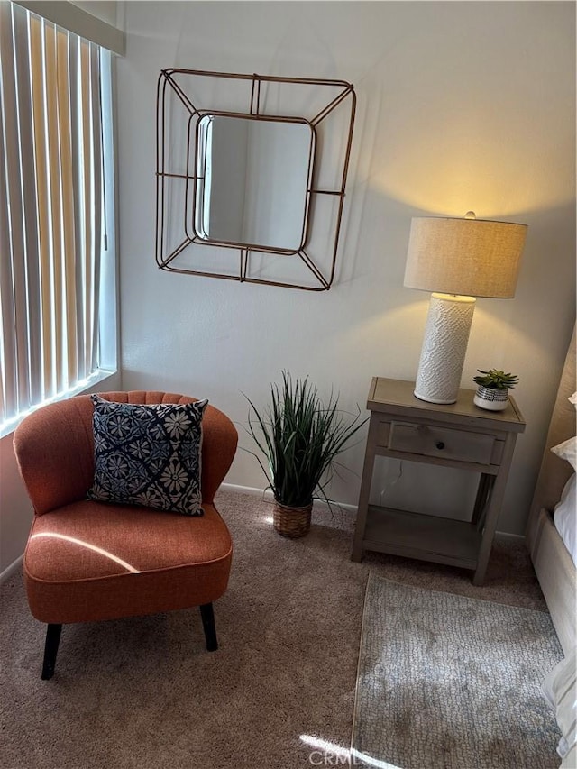 sitting room with carpet